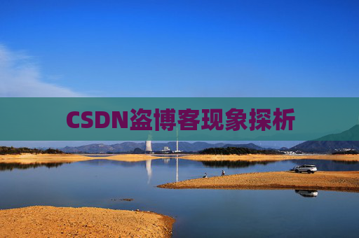 CSDN盗博客现象探析